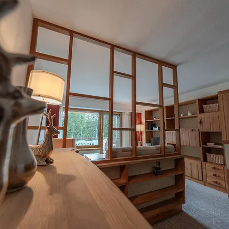 Rehwiesa A11 By Vacations, Direkt Vor Der Skipiste & Mit Pool Apartment