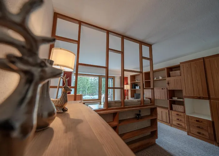 Rehwiesa A11 By Vacations, Direkt Vor Der Skipiste & Mit Pool Apartment