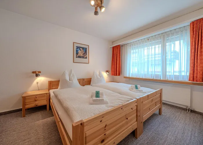 Rehwiesa A11 By Vacations, Direkt Vor Der Skipiste&mit Pool